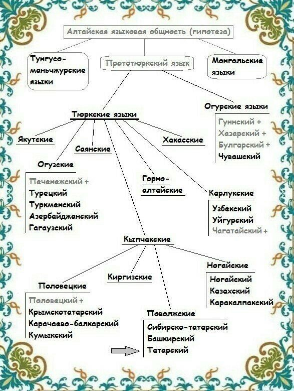 К какой языковой семье относится народ дагестана. Тюркские народы схема. Тюркская семья языков. Алтайская языковая семья тюркская группа народы. Тюркские языки классификация.