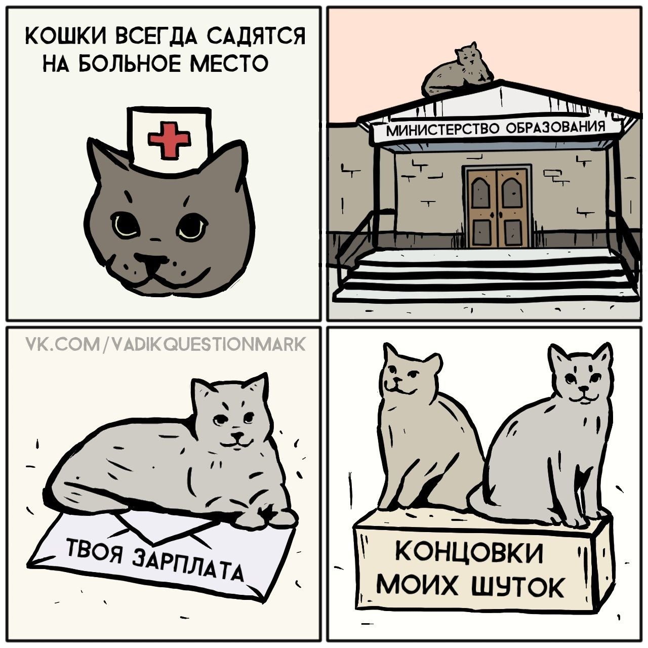 Кот Мем