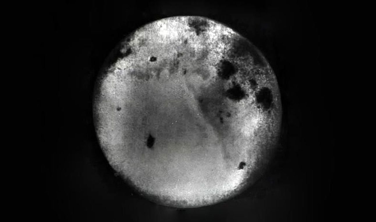 Обратная сторона луны есть. Обратная сторона Луны 1959. Обратная сторона Луны первый снимок 1959. Луна 3 снимки обратной стороны Луны. Снимок обратной стороны Луны 1959.