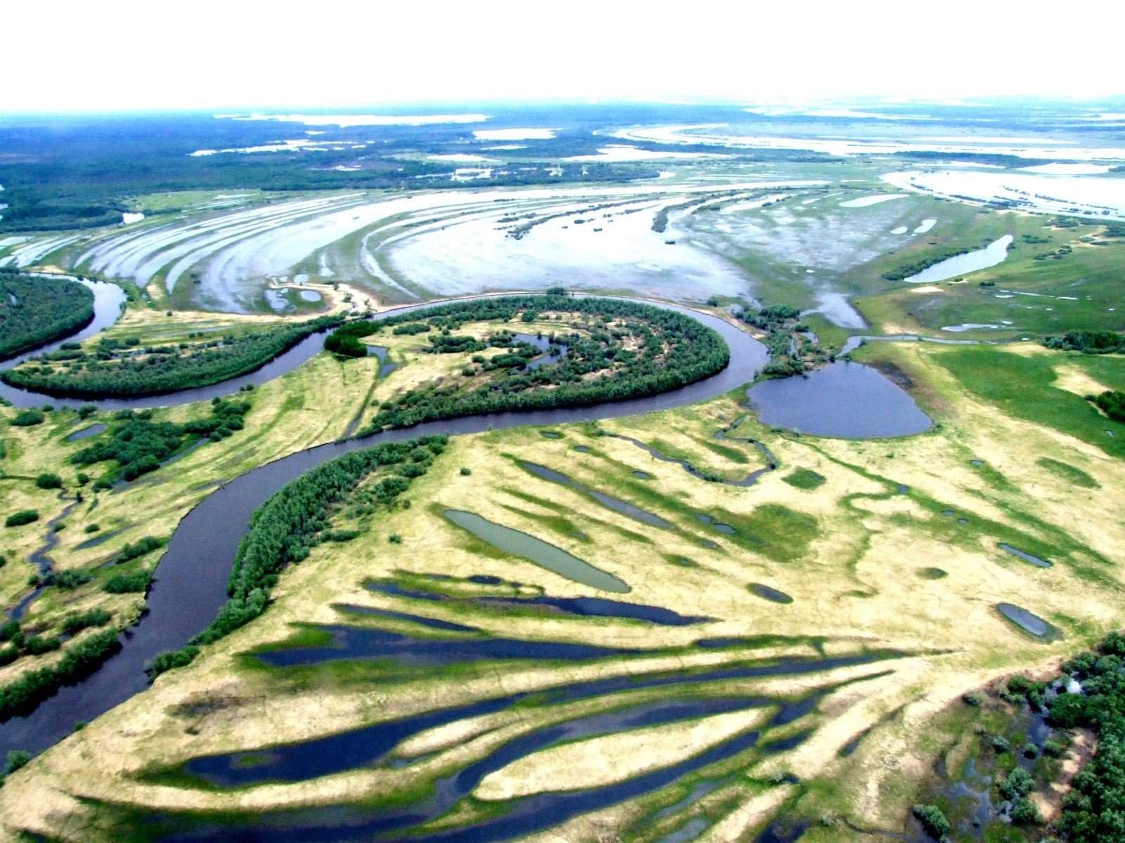 Томск Васюганское болото