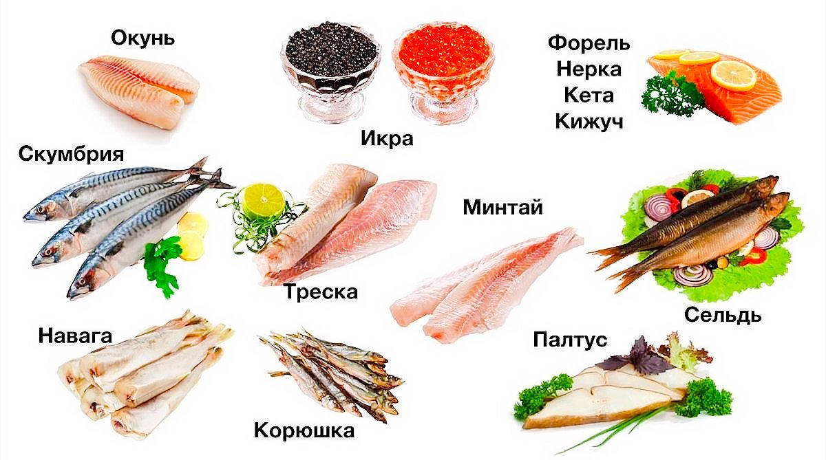 Рыба в мясопустную неделю можно есть. Кето питание продукты. Кето-диета. Рыба при кето диете. Рыба для кето диеты.