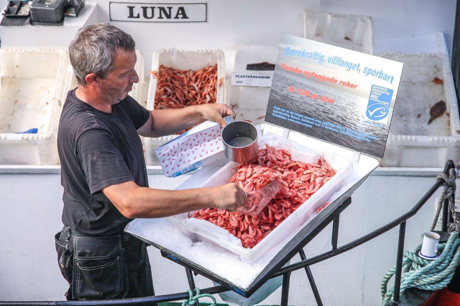 Трудяга-рыбак на причале в Осло торгует ночным уловом креветок