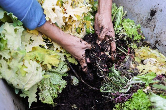 5 мифов и заблуждений о компосте