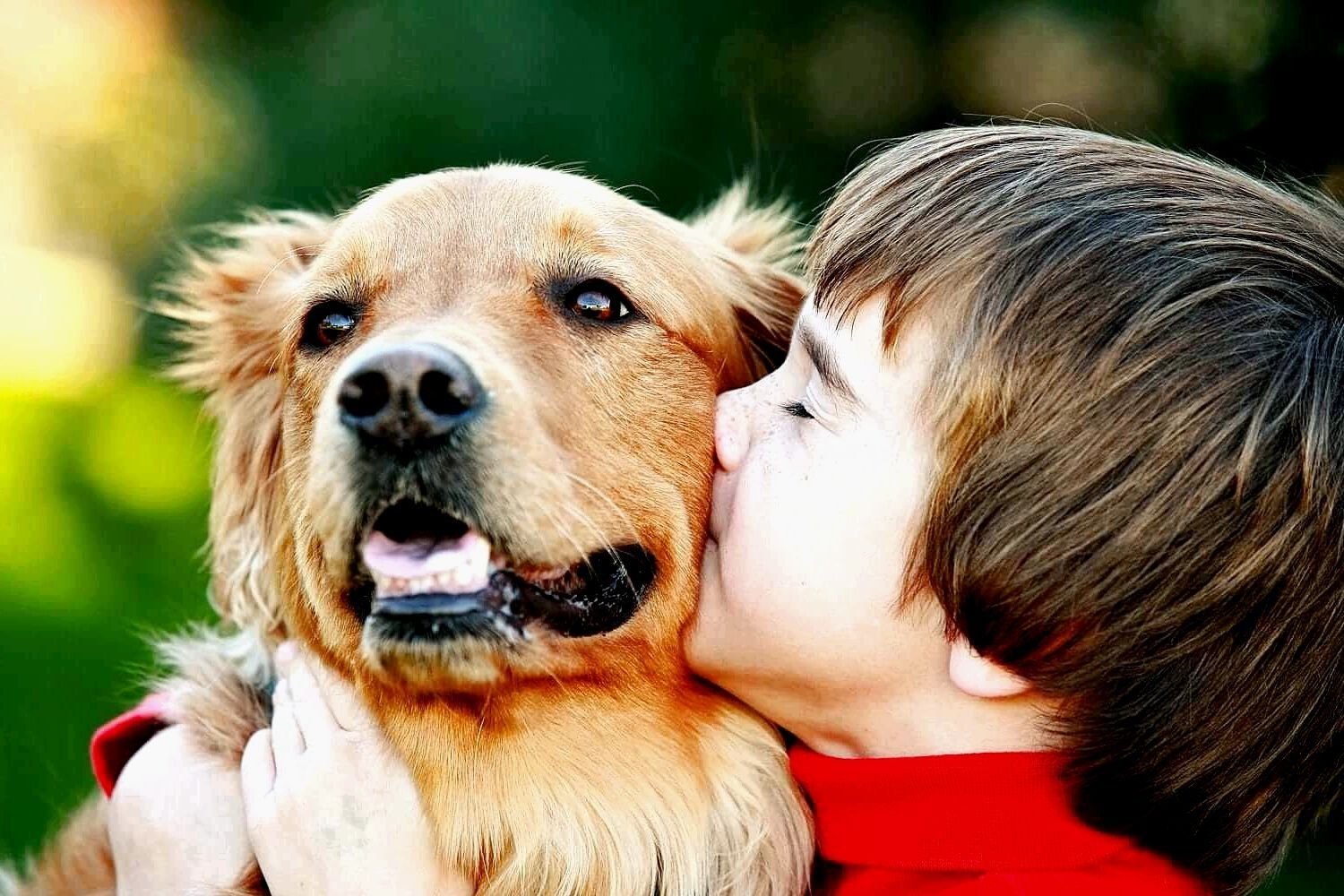 Собака верный друг человека почему ставится. Домашние питомцы. Для детей. Животные. Собака друг человека. Домашние животные для детей.