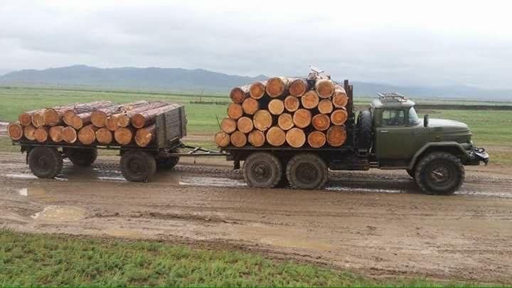 Как возят лес в Монголии