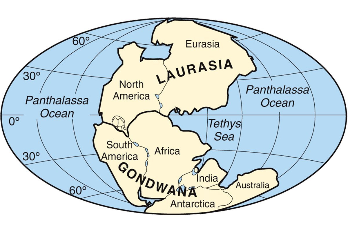 Океан между австралией и евразией. Лавразия и Гондвана. Гондвана материк на карте. Гондвана и Пангея. Пангея Лавразия и Гондвана.