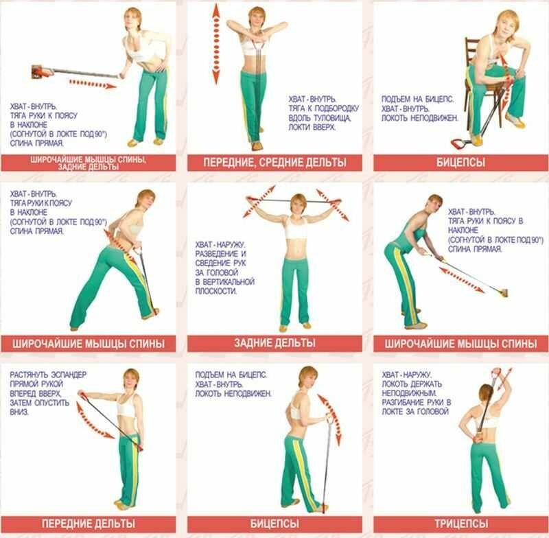 Упражнения с резинкой для женщин для спины