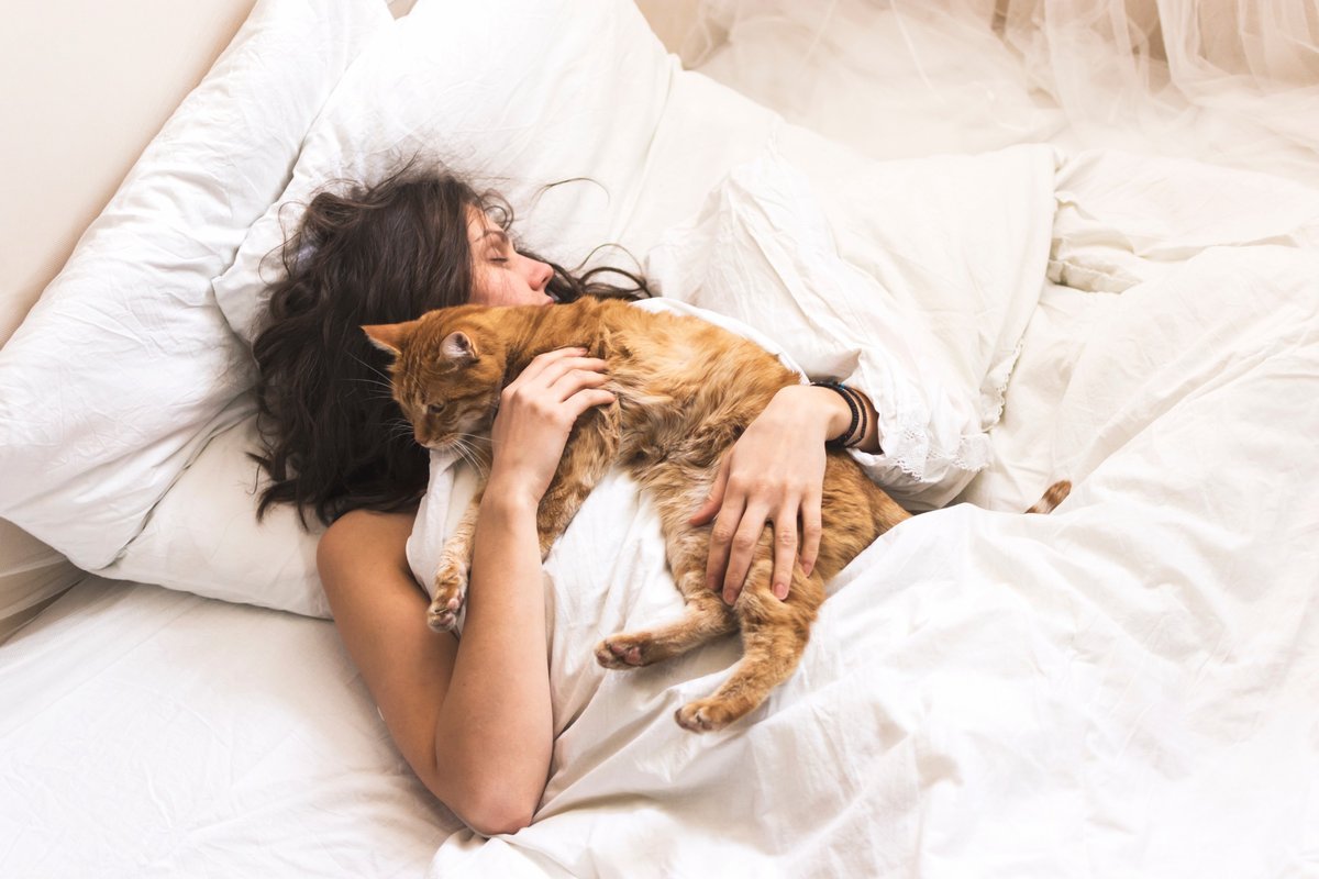 Лежать в постели на улице. Котик в кровати. Девушка с котом на кровати. Сон кошки. Девушка с котом в постели.