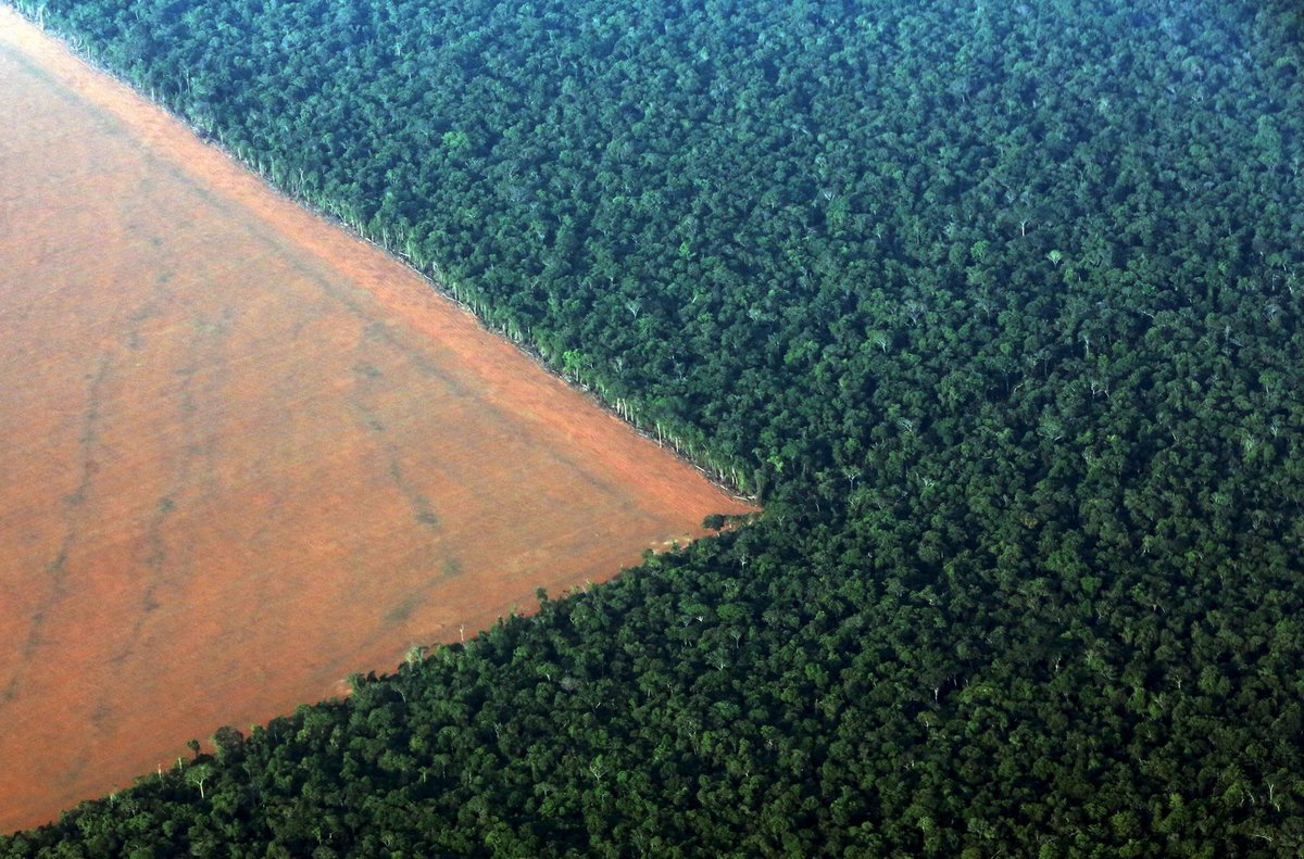 Обезлесивание. Вырубка тропических лесов в Бразилии. Вырубка леса в Амазонии. Вырубка тропических лесов Амазонии. Обезлесение Амазонка.