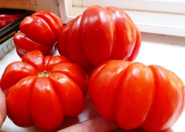 Сорта томатов, которые понравятся на вкус