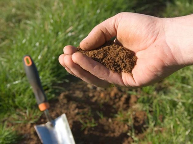 2 простых способа определения кислотности почвы на участке