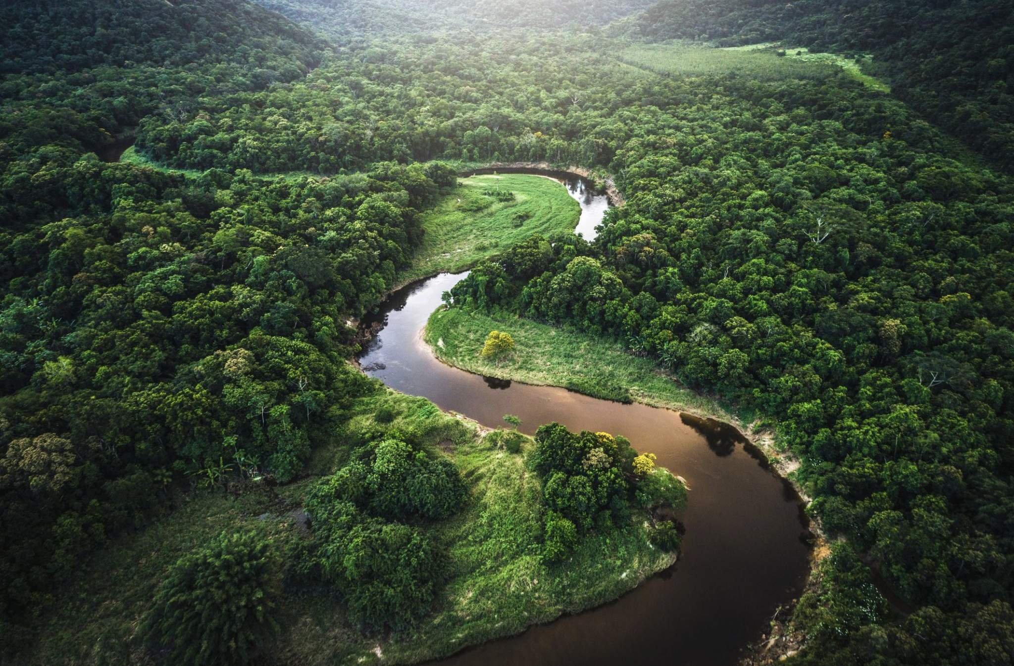 Природные воды бразилии. Амазонская Сельва Бразилии. Бразилия тропические леса Сельва. Тропические леса амазонки, Южная Америка. Тропические дождевые леса Амазонии.