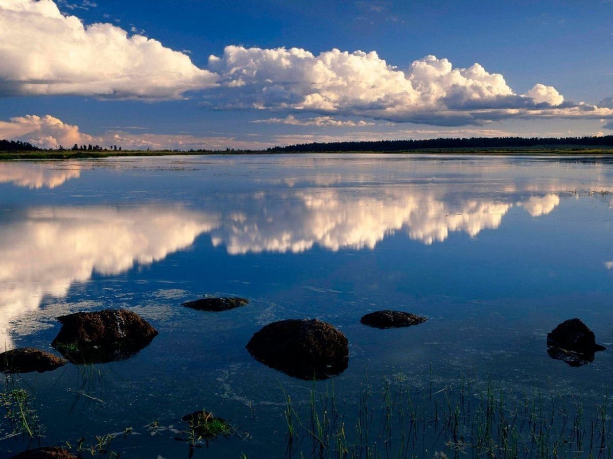 Дальний берег давно. Озеро Убинское. Озеро Убинское Новосибирская область. Малое Убинское озеро. Озеро Сюрзи Архангельская область.