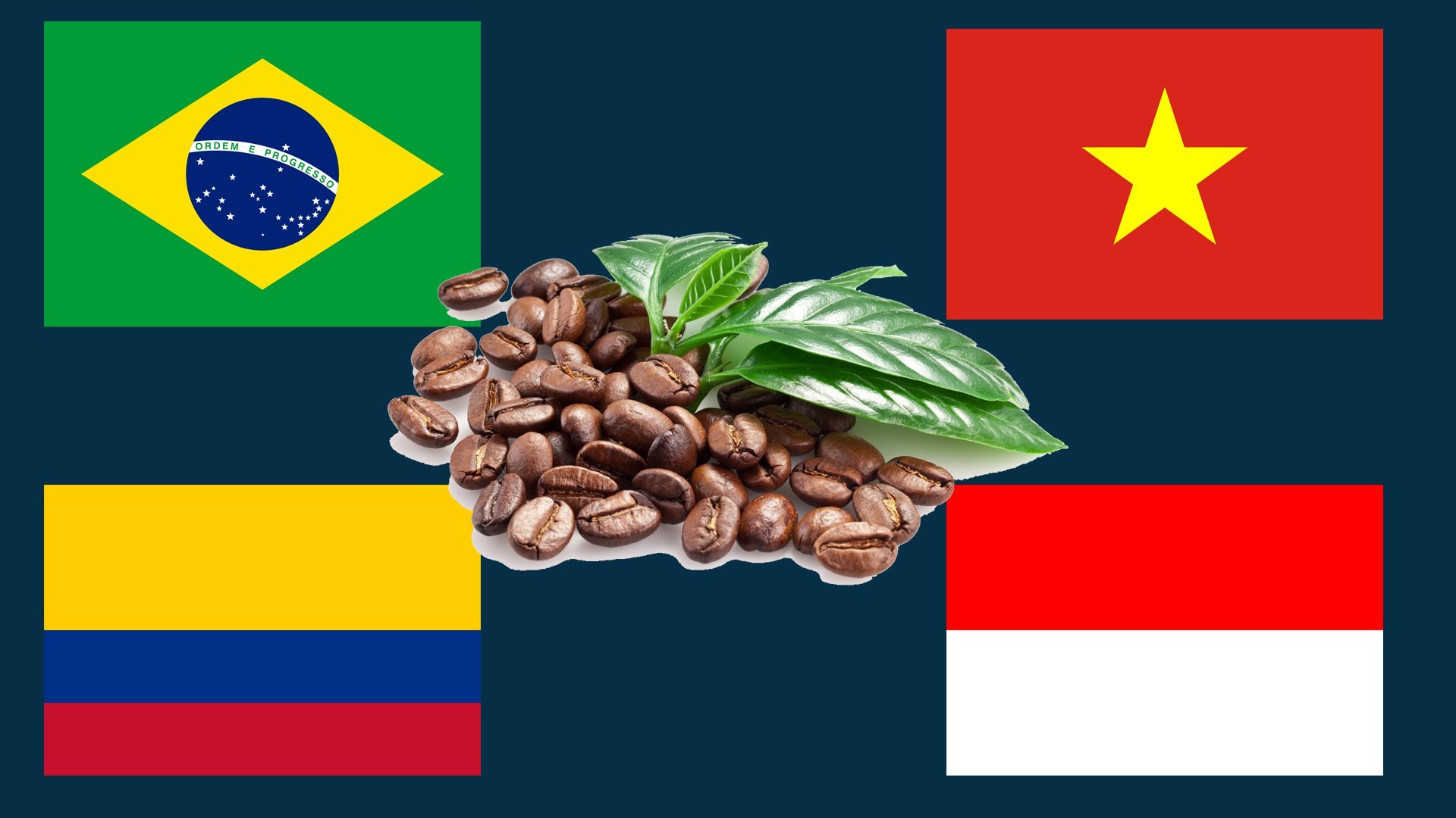Бразилия является крупнейшим производителем. На национальной майке бразильцев помимо флага, есть кофейные зерна..