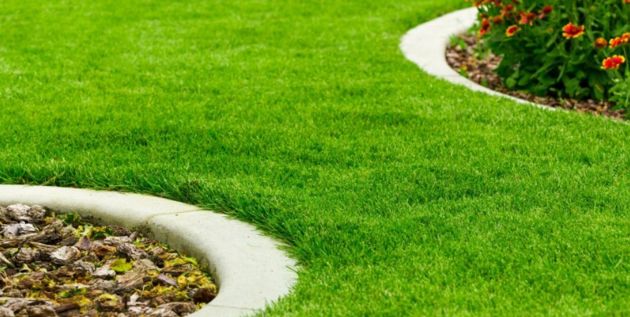 Практическое руководство: озелените свой газон в этом дачном сезоне