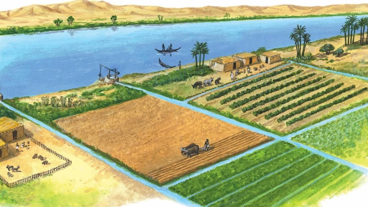 Каналы в древнем египте. Ирригационная система древнего Египта. Орошаеое зе леделие в древнем Египте. Ирригация в древнем Египте. Система ирригации в древнем Египте.