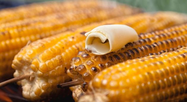 Советы по посадке, выращиванию и сбору кукурузы