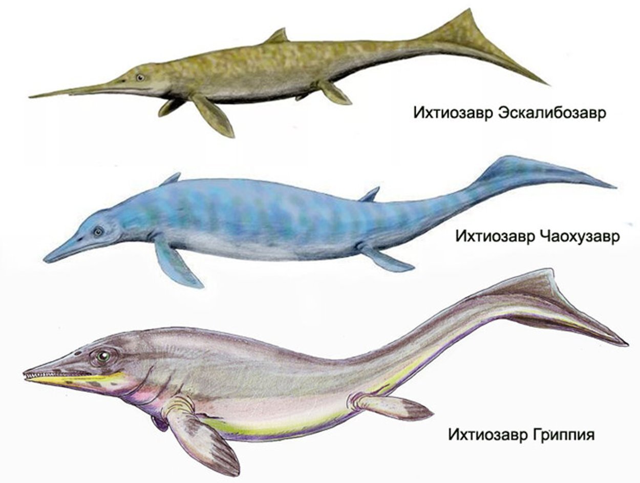 Рыба ихтиозавр