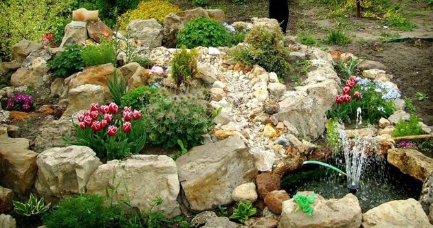 Несколько правил выбора растений для каменистого сада