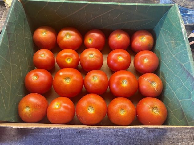 Как сохранить помидоры свежими на самый долгий срок в домашних условиях?