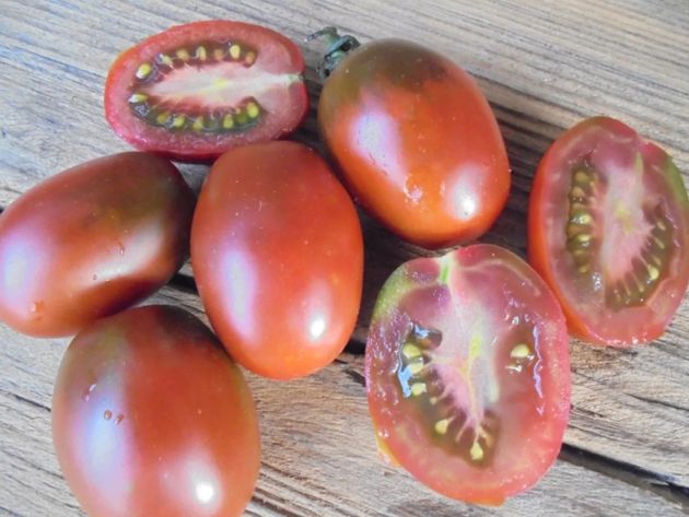 Сорта и гибриды томатов, которые не боятся фитофторы