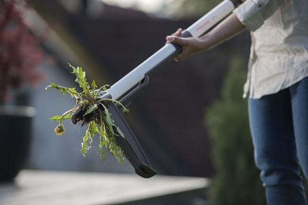5 современных инструментов для огорода, о покупке которых вы не пожалеете