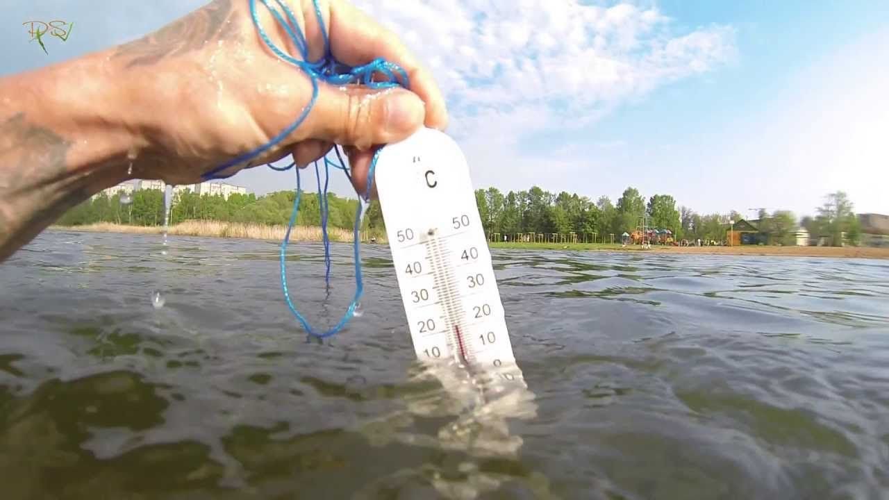 55 градусов воды. Температура воды в реке. Измерение температуры воды. Измерение температуры воды в водоеме. Термометр для измерения воды в реке.
