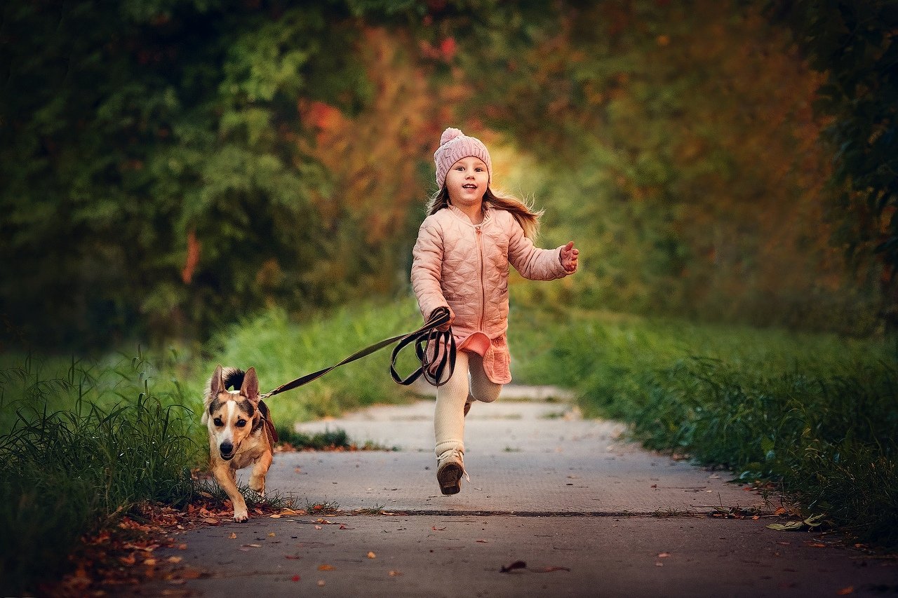 Музыка девочка гуляет. Девочка с собакой. Девушка гуляет с собакой. Девочка гуляет. Девочка с собакой в парке.