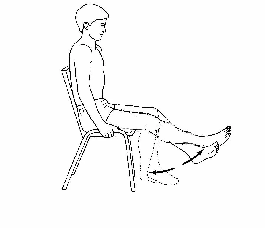 Упражнения для больных ног. Сгибание и разгибание ног в коленном суставе. Упражнения сидя. Сгибание голени сидя. Упражнения для ног сидя на стуле.