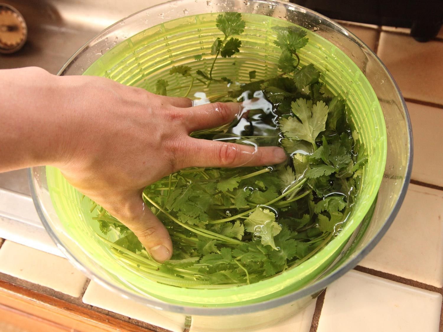 Укроп в холодильнике. Мытье зелени. Замоченная в воде зелень. Салат трава. Свежая зелень в кулинарии.