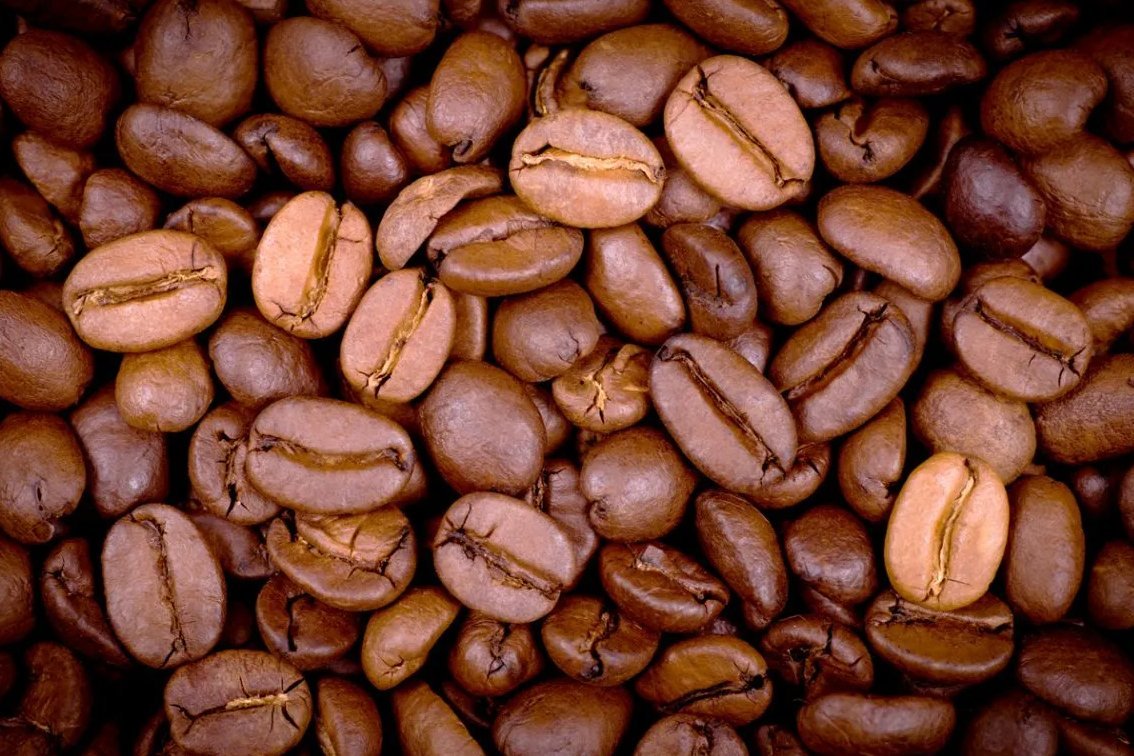 Как вырастить кофейные зерна. Кофе Арабика и Робуста. Арабика Робуста Либерика и Эксцельза. Сорта кофе Арабика, Робуста, Либерика и Эксцельза. Либерика и Эксцельза зерна.
