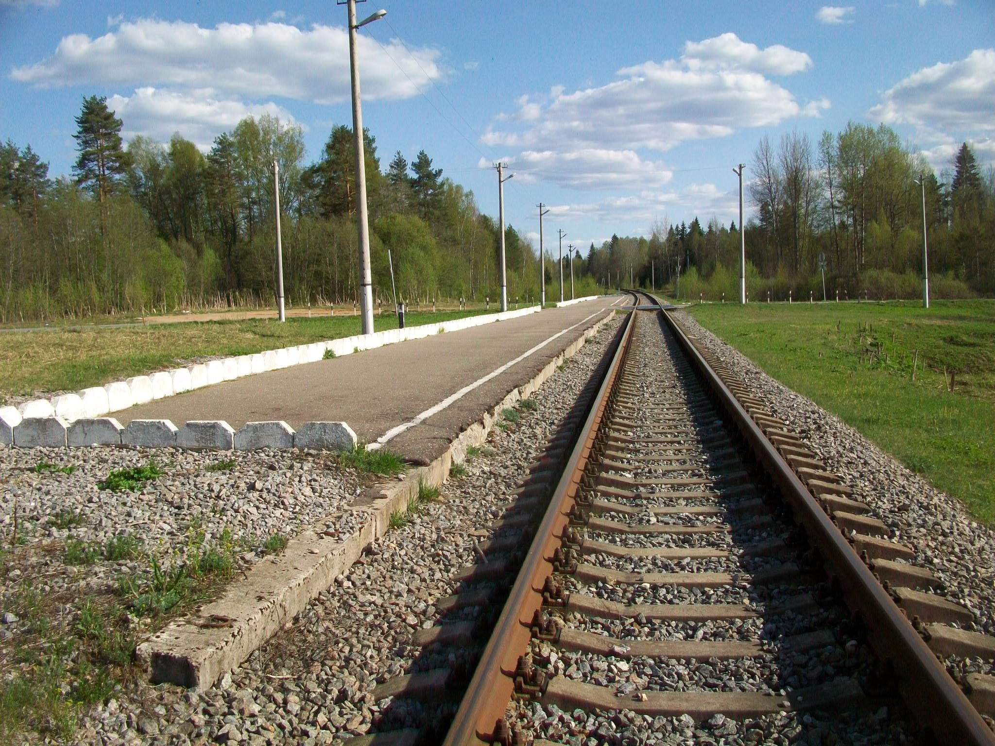 Новгородская область железная дорога