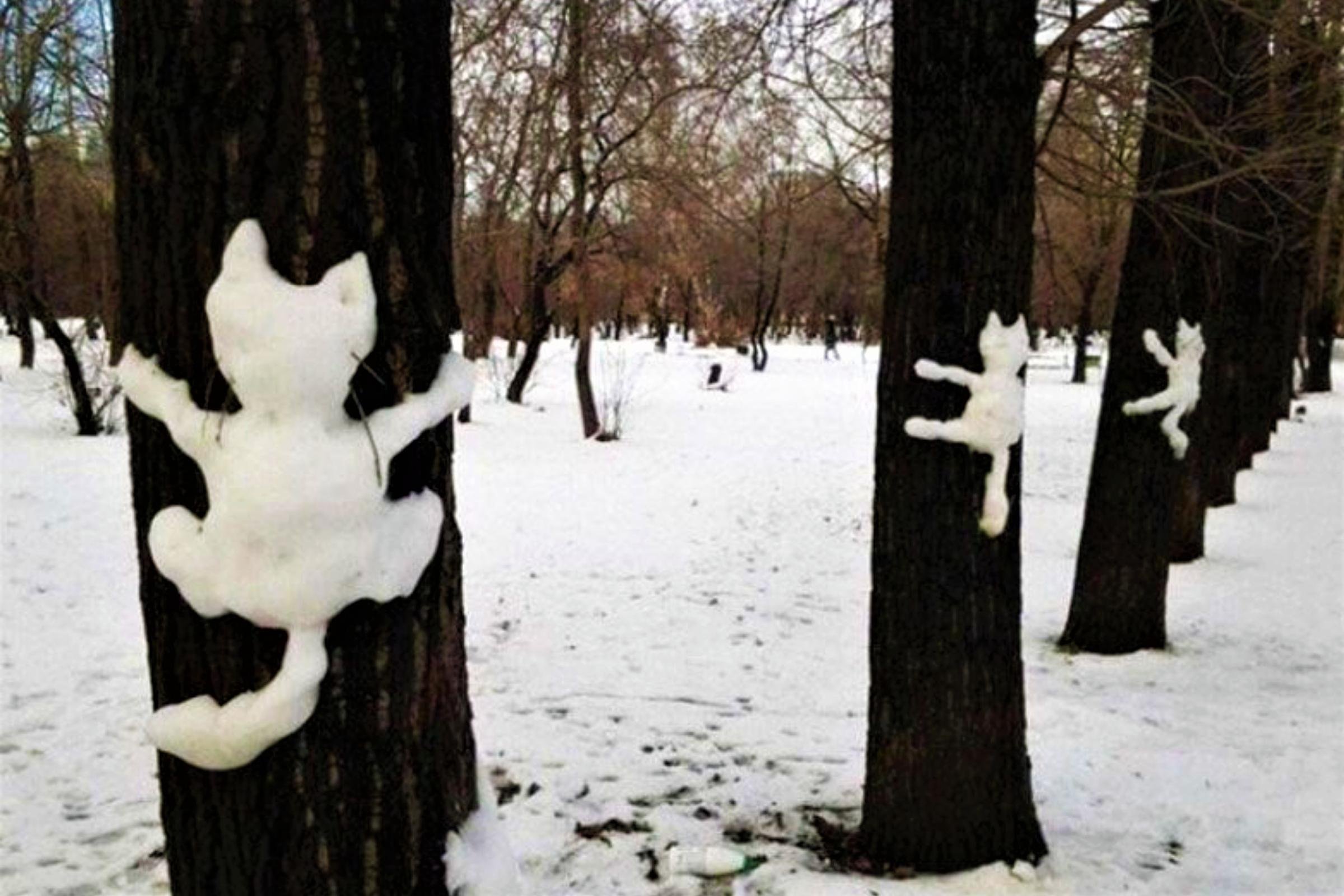 Снег смешная картинка. Фигурки из снега на дереве. Смешные Снеговики. Кошка из снега на дереве. Коты из снега на деревьях.