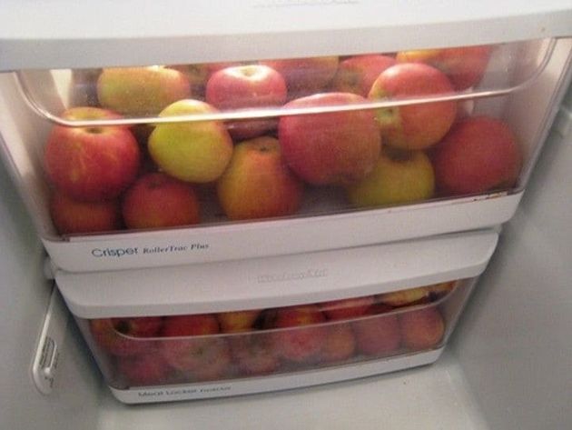 Как легко сохранить урожай яблок, чтобы пролежал всю зиму до весны