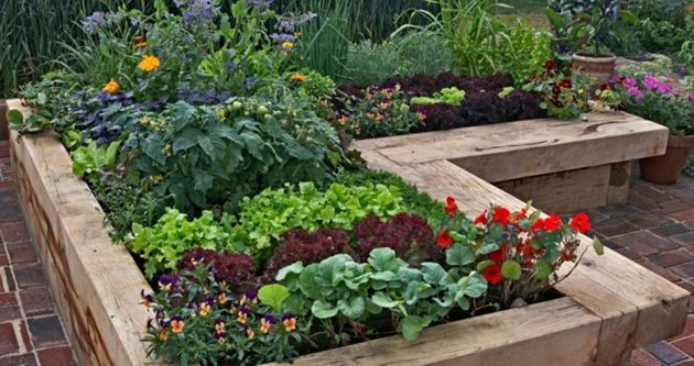 5 советов о том, как освежить свой сад, чтобы он засиял новыми красками