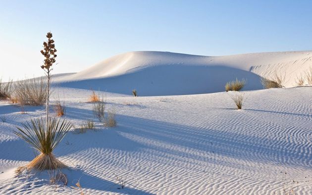 Чудеса природы: пустыня из белого песка