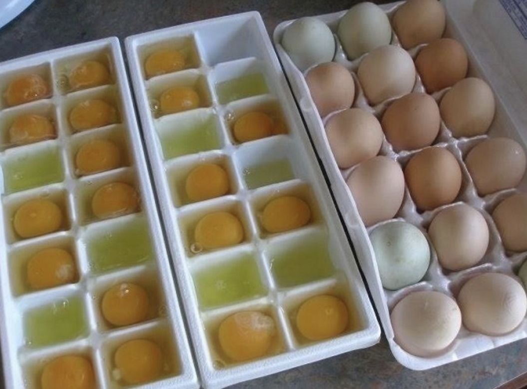 Можно замораживать белки. Яйцо в морозилке. Замороженные яйца. Заморозка яиц в морозилке. Заморозить яйца в морозилке.