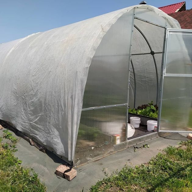 Как спасти томаты в теплице, в которой летом поднимается до 40 °С