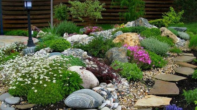 Несколько правил выбора растений для каменистого сада