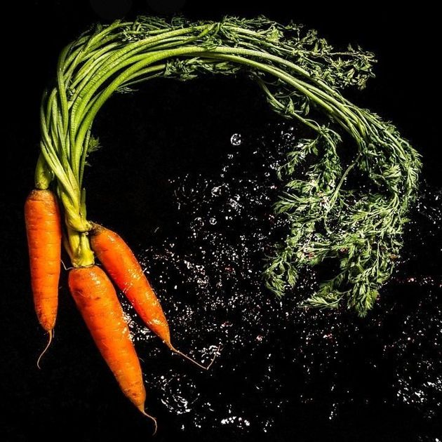 Советы огороднику: как посеять морковь с мульчированием для богатого урожая