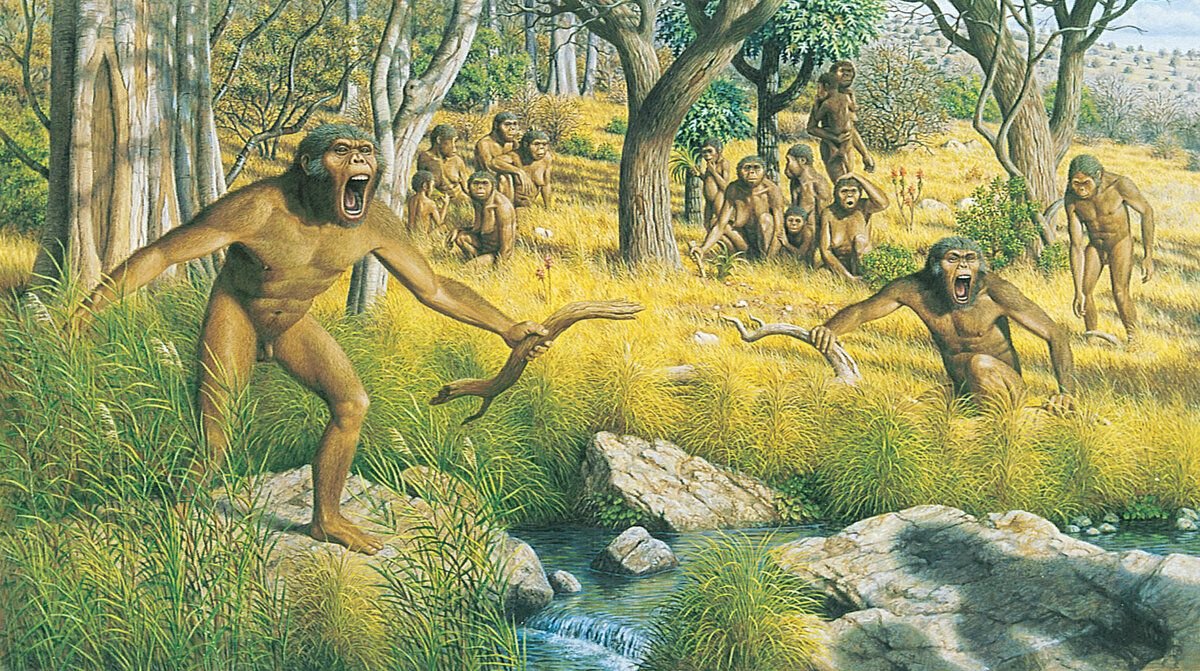 2 млн лет назад появился. Неоген австралопитеки. Австралопитеки гоминид. Древние люди австралопитеки. Австралопитек Южная обезьяна.