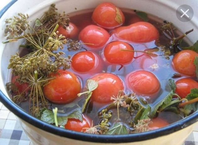 Закусочные помидоры быстрого приготовления