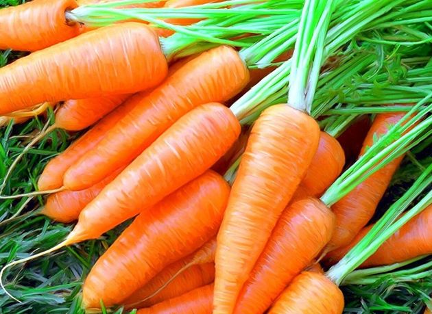 Определяющая подкормка морковки в августе. Получайте сочные и ровные корнеплоды без проблем