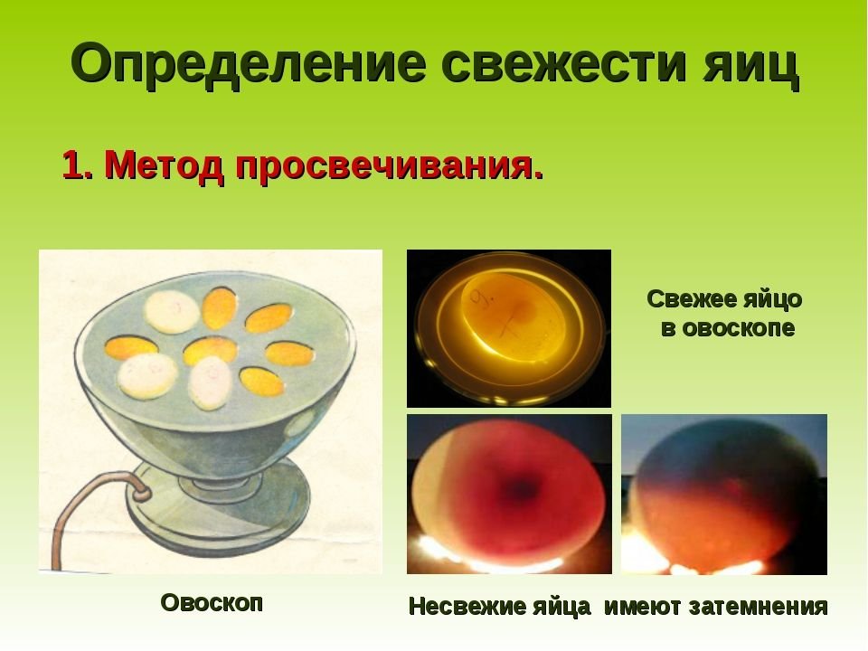Оценка качества яиц. Овоскопирование яиц курицы. Яйца при овоскопирование. ОВОСКОПИЯ куриных яиц дефекты. Овоскопирование темных яиц.