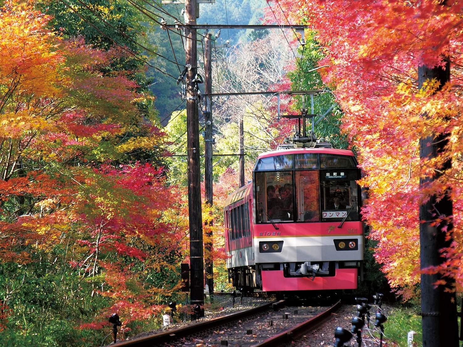 япония поезд
