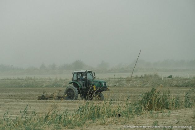 Почему в Узбекистане у тракторов 3 колеса