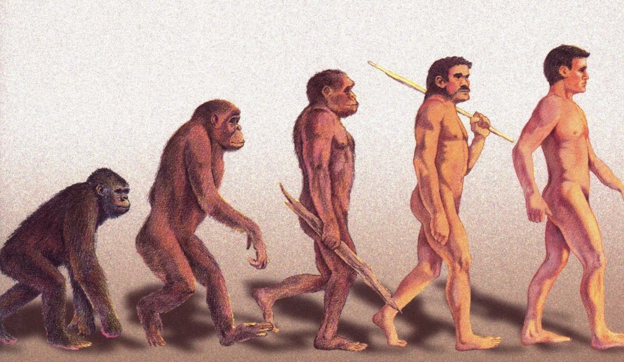 Человеческие люди рассказ. Эволюция Дарвин хомо сапиенс. Теория Дарвина австралопитек. Теория эволюции Дарвина. Теория Дарвина о эволюции человека.