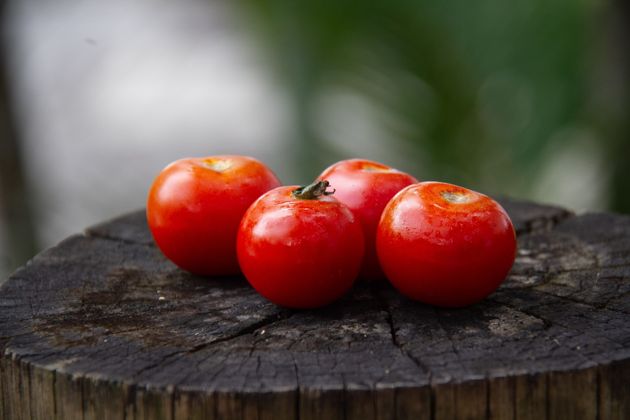 Почему, при посадке томатов не следует обрывать нижние листья, чтобы не потерять часть урожая