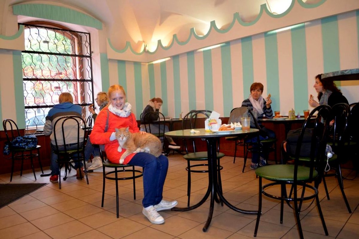 Пышки большая конюшенная ул 25 фото. Кафе пышка в Санкт-Петербурге на большой Конюшенной. Конюшенная 25 Санкт-Петербург пышечная. Санкт-Петербург большая Конюшенная улица 25 пышечная. Пышки на Конюшенной Санкт-Петербург.