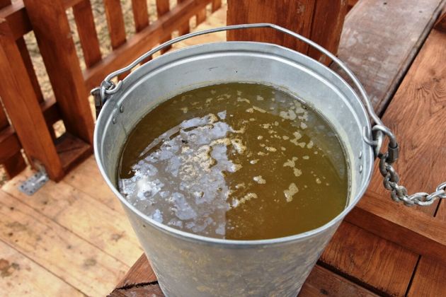 Как в домашних условиях узнать чистая ли вода в скважине или колодце, и пригодна ли она для питья? 5 лучших способов